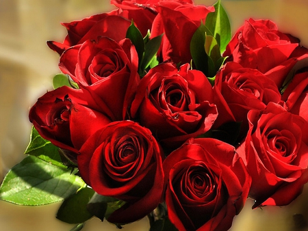 Bouquet of red roses - flowers, pretty, rosrs, beautiful, red, nice, lovely, bouquet