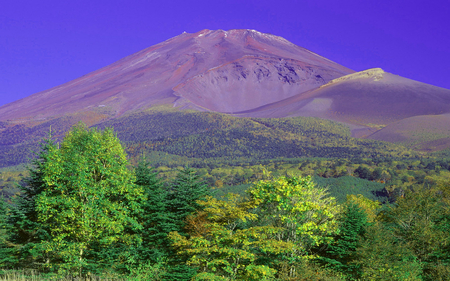 â€áƒ¦â–â€ mt fuji â€áƒ¦â–â€ - purple, tree, view, mountain