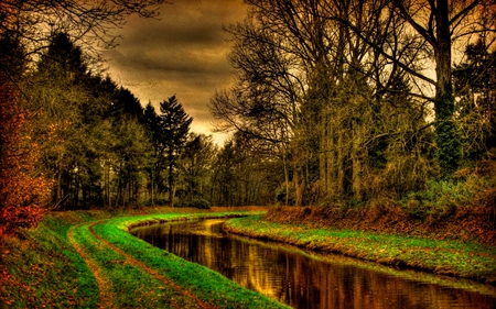 FOREST RIVER - river, water, hdr, road, canal, forest