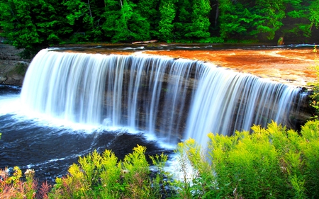 WIDE FALLS - waterfalls, forest, plants, wide