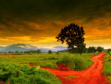 Point of separation - tree, fields, road, clouds