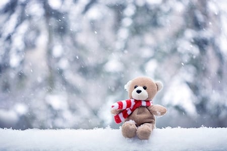 Teddy - snowflake, adorable, photography, winter, snowflakes, cold, snow, frost, sweet, teddy bear, teddy, cute