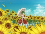 Lady of the sunflowers