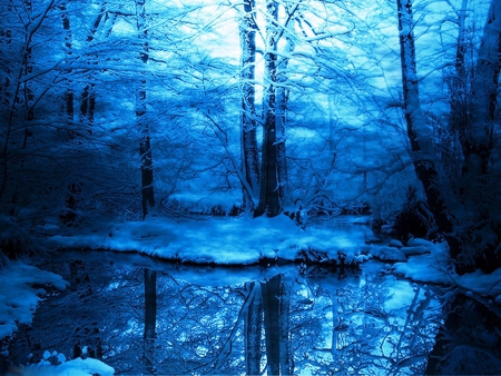 Winter Blues - trees, winter, water, forest, darkness