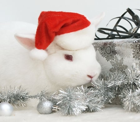 Christmas bunny - furry, tinsel, black, beautiful, ornament, christmas, white, ribbon, rabbit, balls, hat, present, eye, fur, bunny, silver, soft, shiny, cuddly, nose, gift