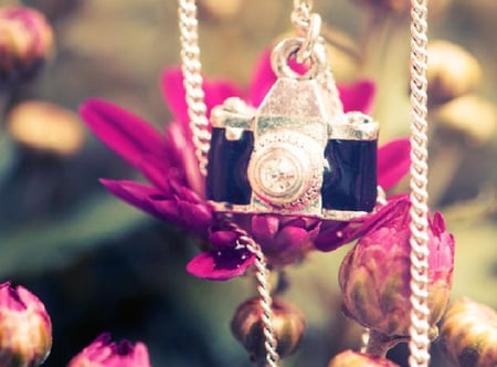 time to take a pic - pghototgraphy, camera, pink, nice, flowers, pearl