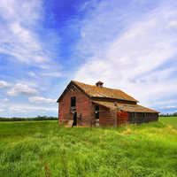 A cabin at field