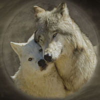 â™¥Puppy Loveâ™¥