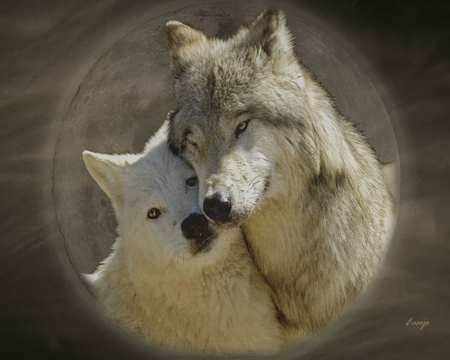 ♥Puppy Love♥ - dogs, wolf, other, animals, wolves