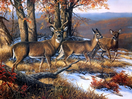 Deers - autumn, mountain, winter, deer, nature, painting, art, river, animal