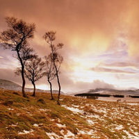 FROSTY FIELDS