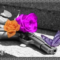 â€áƒ¦*â€¢*â–â€ butterfly, gun & rosesâ€áƒ¦*â€¢*â–â€