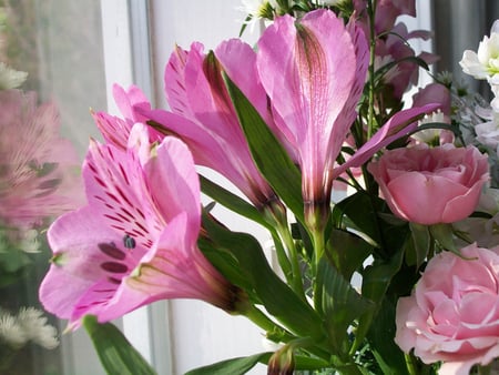 Beautiful flowers with lots of love for my DN friends - flowers, nature, photography, friendship, pink flowers, bouquet