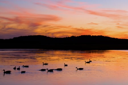 Sunrise on the lake - clouds, water, image, landscape, beauty, sunrise, colors, morning, orange, black, nature, lakes, ducks, sun, sky