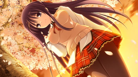 Yuki Natsume - anime, anime girl, cherry blossom, shunki, girl, yuki natsume, uniform, a, poco, gentei, sakura tree, school girl, game cg