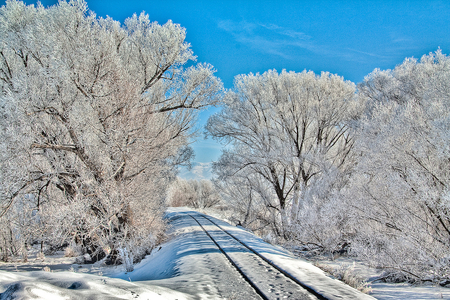 Winter view - season, sky, landscape, background, trees, shadows, image, winter, tracks, nature, view, cold, clouds, snow, beautiful, frozen