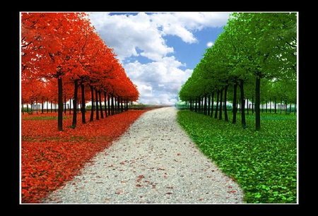 Autumn versus Spring - clouds, trees, road, spring, path, nature, autumn, red, green, plants, nice, way