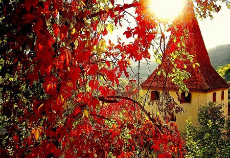 fantasy place - red, leaves, abstract, plants, fantasy, nice, house, trees, nature