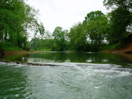 Little Rapids - rapid, trees, water, sky