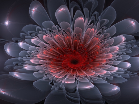 ❀ღ**❖❀ star_flower ❀ღ**❖❀ - abstract, star, flower, fractal