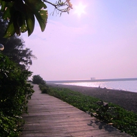 Coastal walks