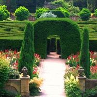 Beautiful Garden