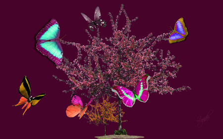 â€áƒ¦*â€¢.¸¸.â€¢*â–â€butterflies @ the apple tree â€áƒ¦*â€¢.¸¸.â€¢*â–â€ - special, wp, friends, dn