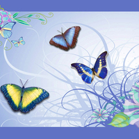 â€áƒ¦*â€¢.¸¸.â€¢*â–â€ VECTOR BUTTERFLY & FLOWER â€áƒ¦*â€¢.¸¸.â€¢*â–â€