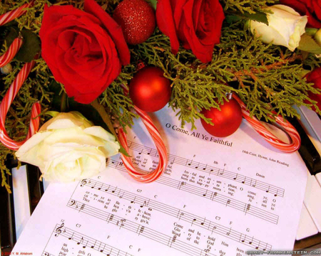 Christmas Roses Music - christmas, roses, music, still life