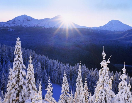 Winter sunshine - nature, sunshine, cold, trees, mountain, sun, winter, sunny day