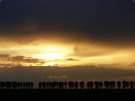 Sunset - road, gold, sunset, amazing