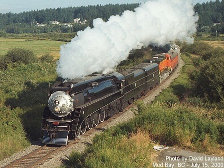 Train - train, track, smoke, grass