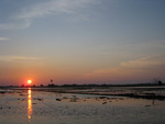 sunset in paddy field