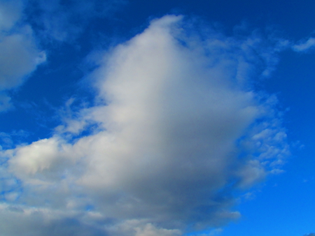 bright clouds - white, blue sky, cloud, puffy