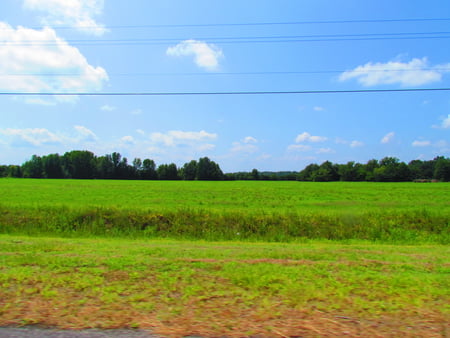 pretty new jersey field - field, bright green, green, hot