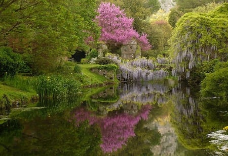 Ninfa Gardens, Italy. - italy, garden, lake, flower, ninfa, reflection, tree