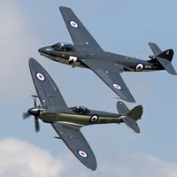 Seahawk and Seafire