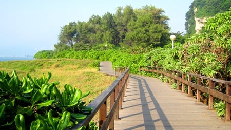 Coastal walks - beach, trails, street lamp, plant, sea