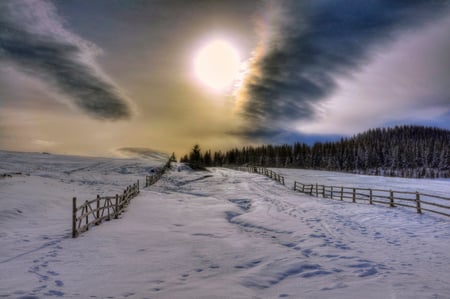 Frozen morning - forest, frozen, hdr, white, background, fench, morning, image, nature, cold, winter, landscape, beauty, sun, sky, clouds, sunrise, snow