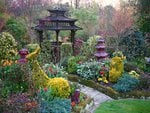 Autumn Japanese Garden