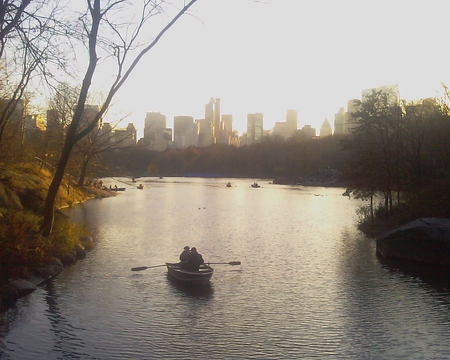 Central Park in New York - new york, park, lake, autumn