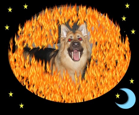 Hell Dog - fire, moon   stars, jazz, g s dog