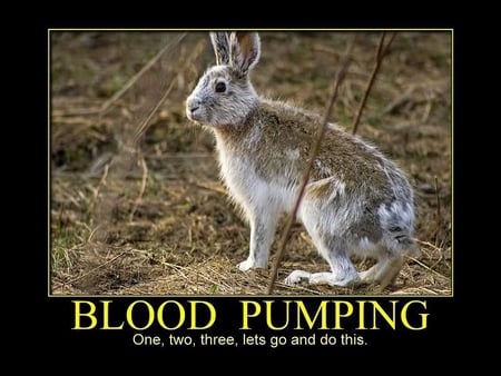 Blood Pumping - rabbit, blood, pumping, ground