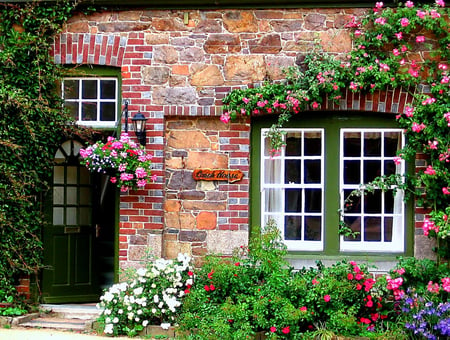 Beautiful home. - house, path, window, flower, home