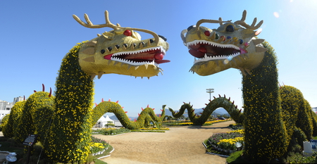 Flower dragon - dragon, picture, 2011, 30, flower, park, 11