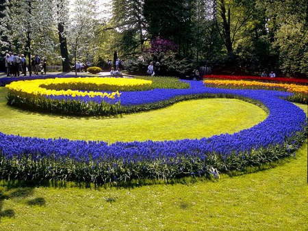 S Marks the Spot - flowers, yellow, grass, blue