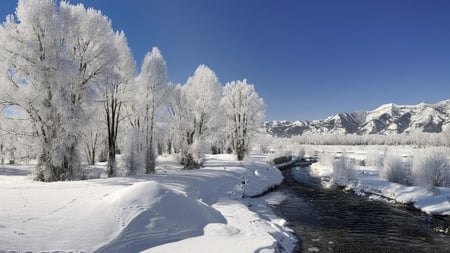 White Winter Wonder - trees, white, winter, beautiful, stream, mountains, wonder