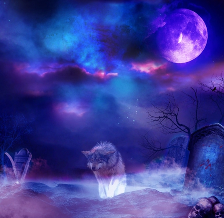 Wolf Night In The Cemetery - moon, blue, wolf, manipulation, dog, night, dark, cemetery, animal, purple