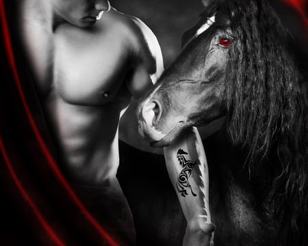 My Dark Friend - abstract, horse, dark, man, beautiful, friendship, black, fantasy