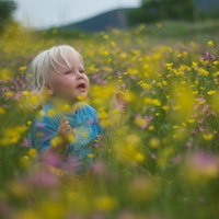 Cute Baby in a flower Field